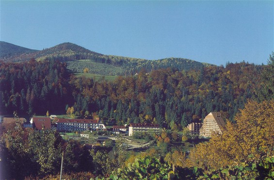 Image - Panorama of Yaremche.